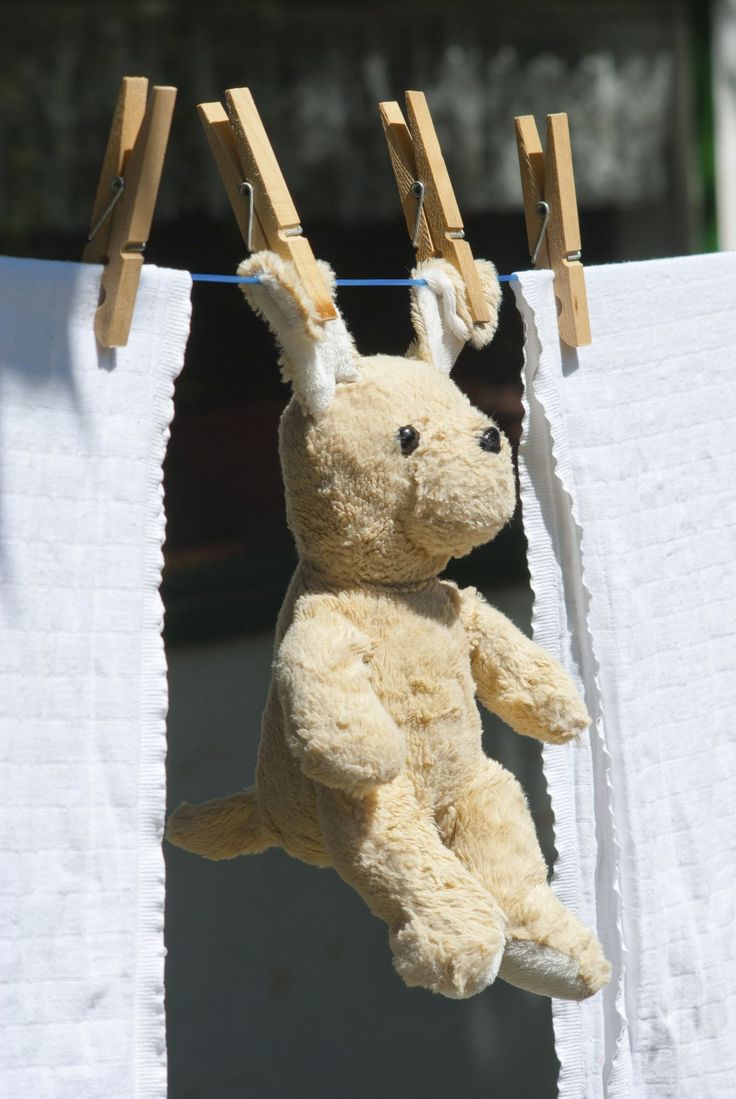 How_To_Clean_Stuffed_Animals.jpg